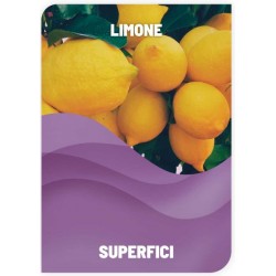 Sgrassatore limone Conf. 1Lt