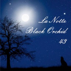 N43 LA NOTTE TOM FORD BLACK...