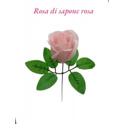 ROSA DI SAPONE ROSA CHIARO...