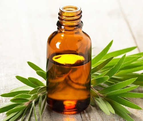 SCOPRI I 10 SORPRENDENTI USI DELL'OLIO DI TEA TREE: IL RIMEDIO NATURALE CHE TI CAMBIERÀ LA VITA!